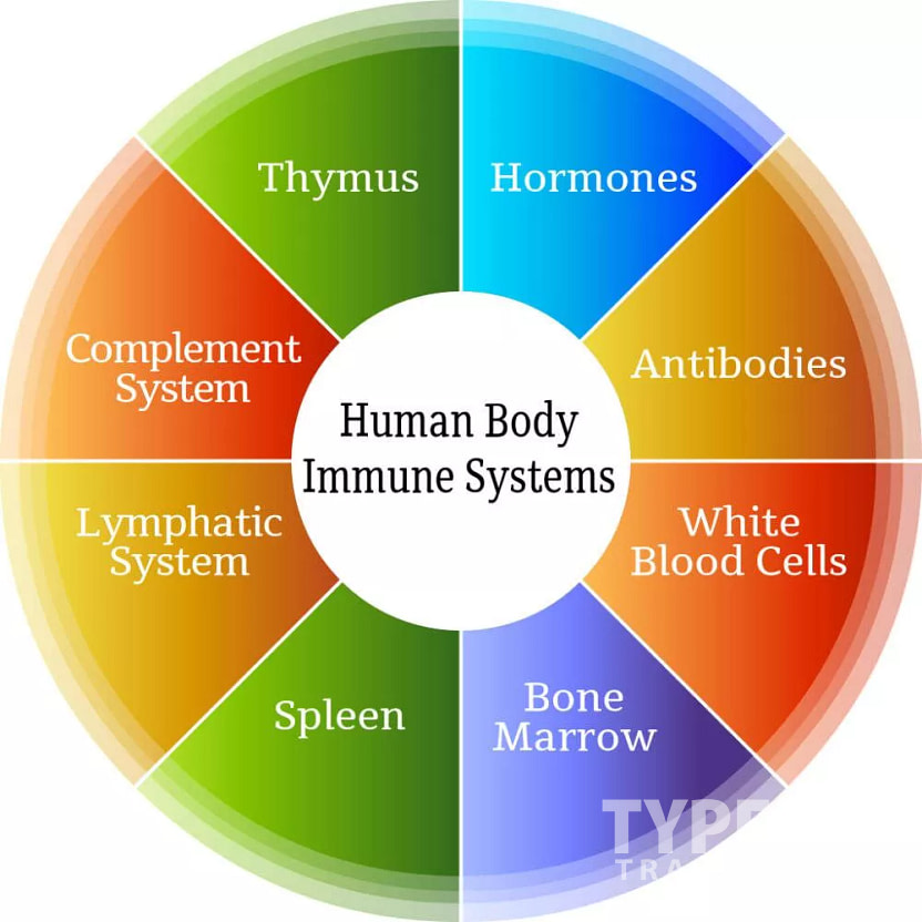 yoga improves your immune system