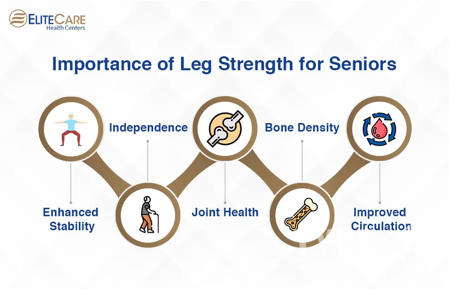 Importance of Leg Strength for Seniors.jpg