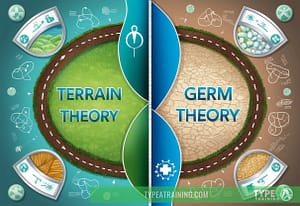 a book cover with text and images