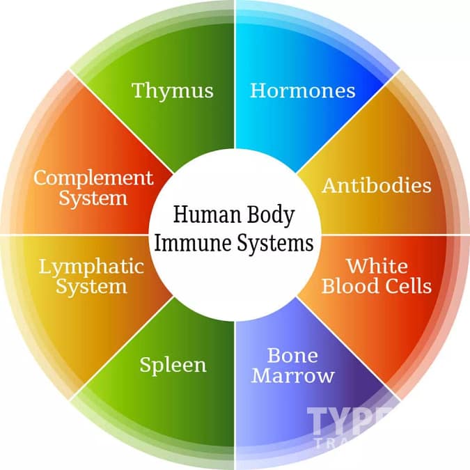 yoga improves your immune system