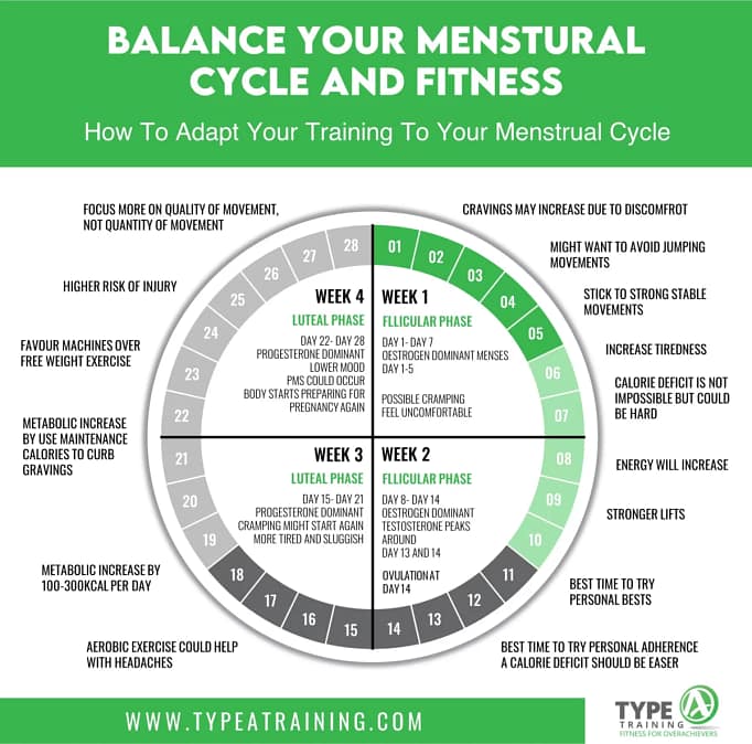 Understanding the Menstrual Cycle