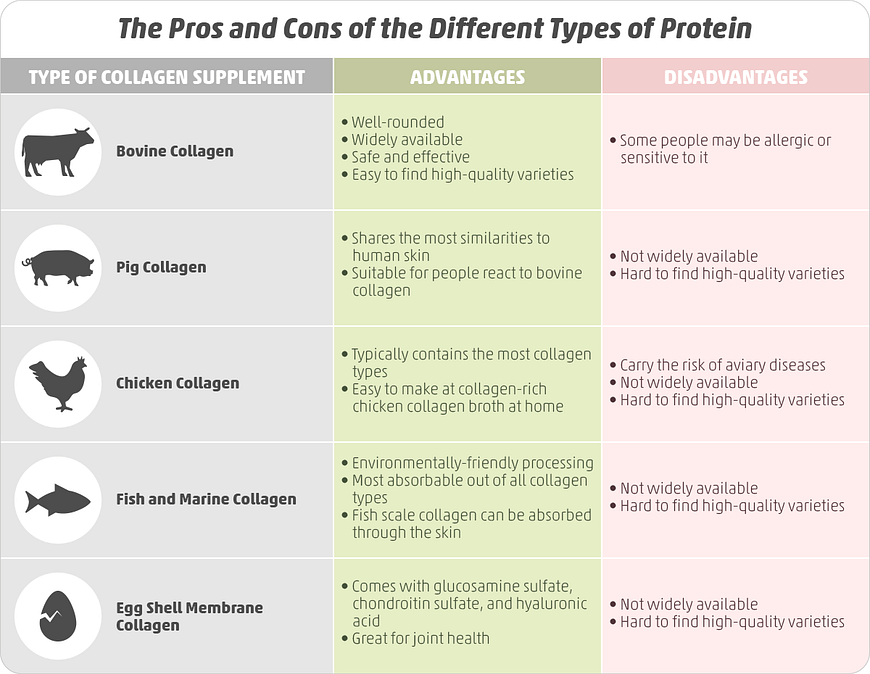 Sources of Collagen Supplements: Marine vs Bovine