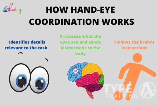 Understanding Hand-Eye Coordination