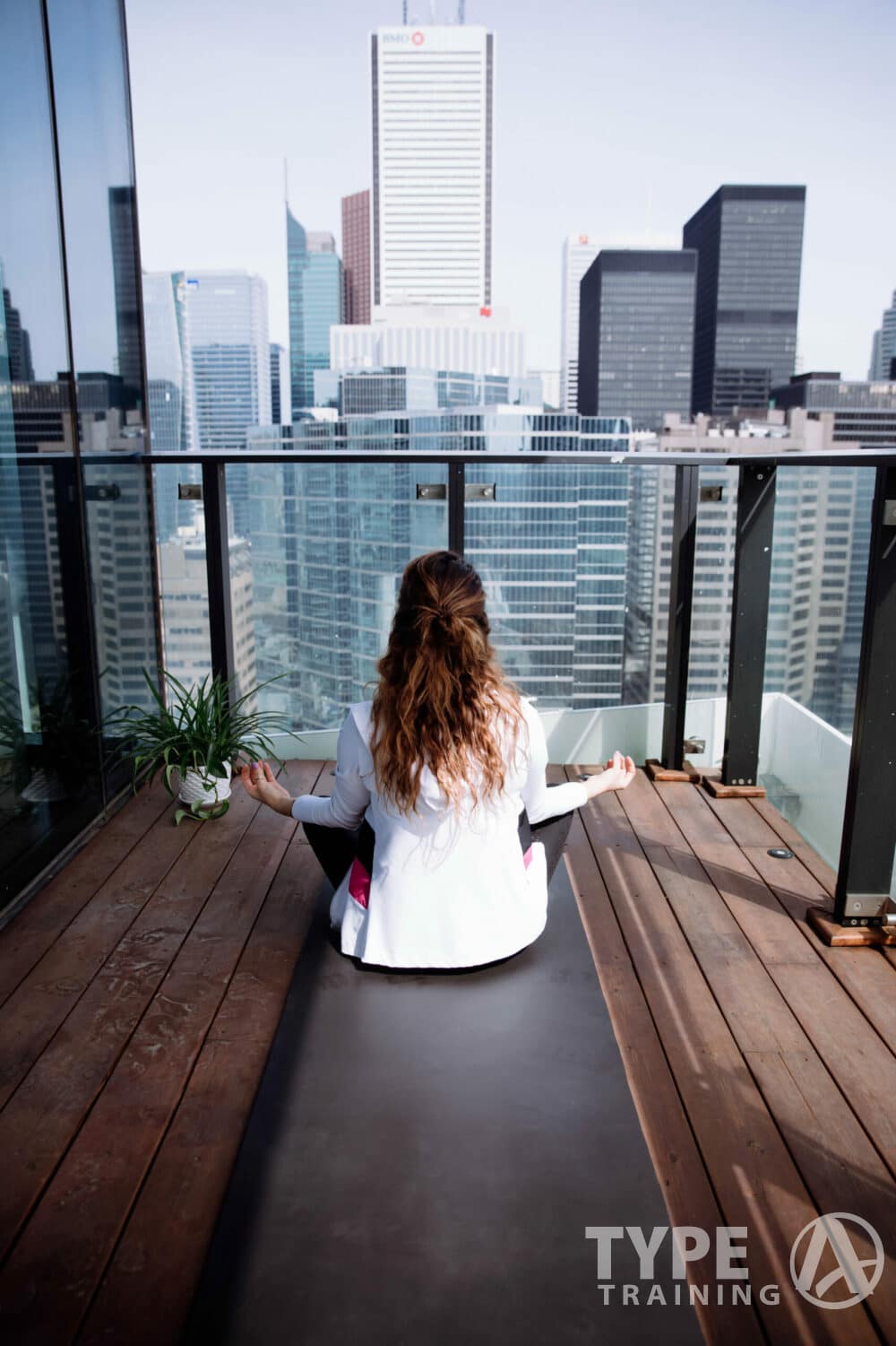 Yoga Practice Regularity and Immune Function