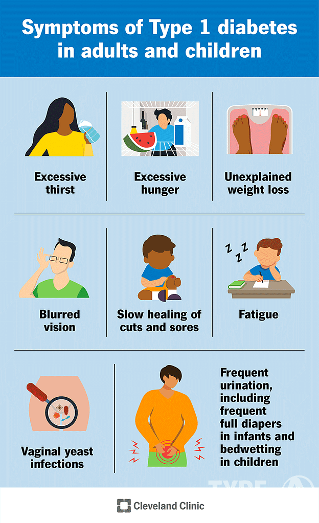 Health Concerns and Precautions