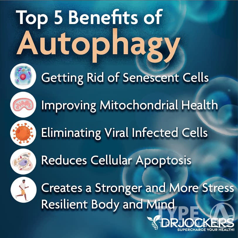 Autophagy and Cellular Health