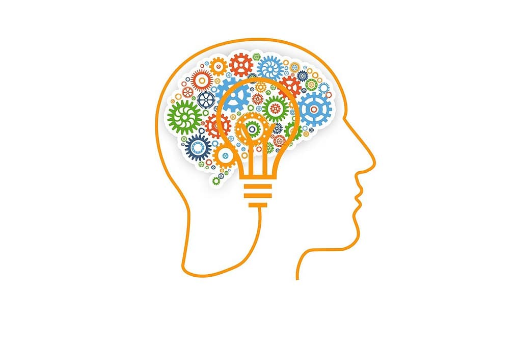 Cognitive Function and Brain Health