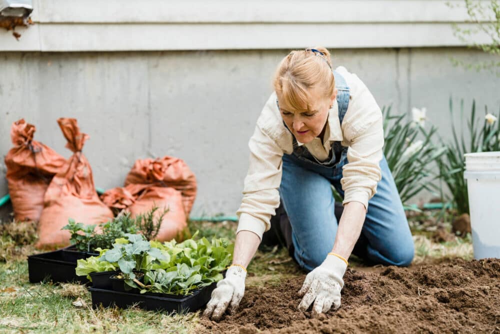 Gardening Benefits for Women Over 50