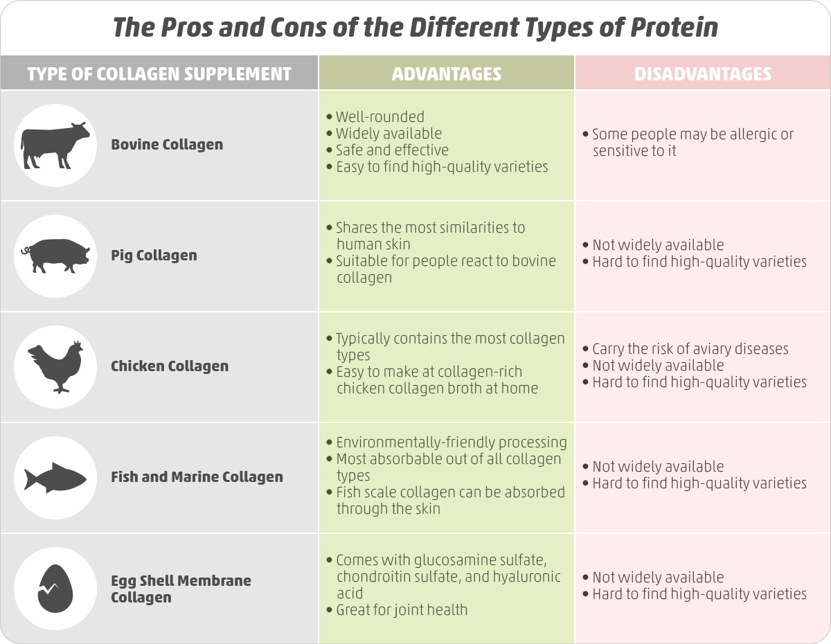 Sources of Collagen Supplements: Marine vs Bovine