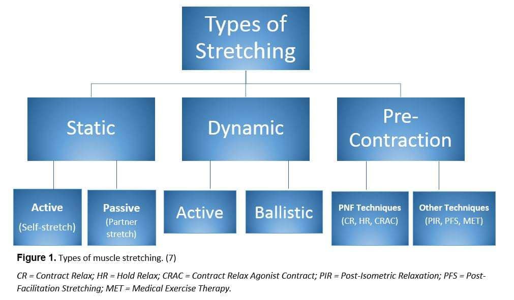 Understanding Stretching Types: There are many types of stretching, including static, dynamic, passive, active, and PNF