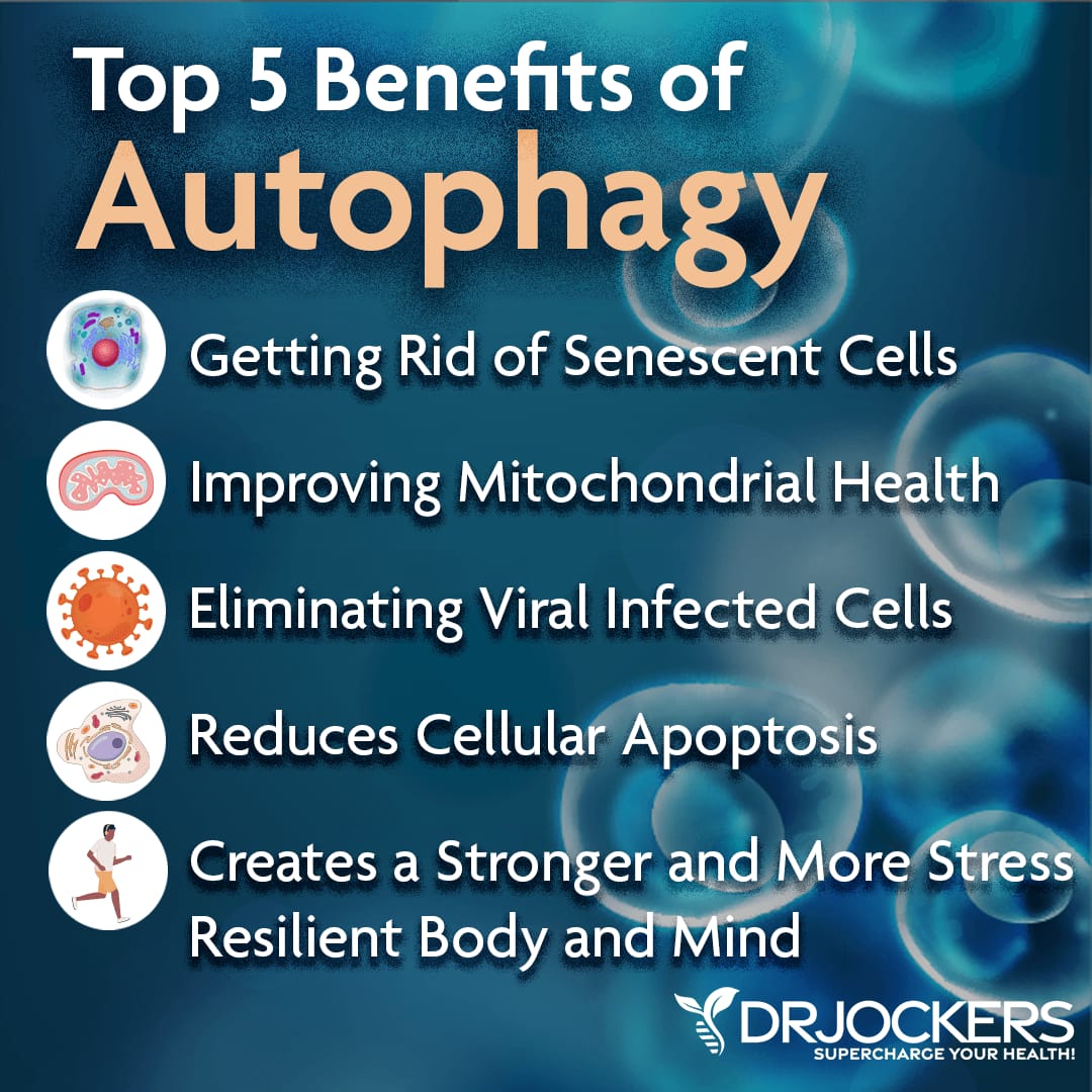Autophagy and Cellular Health